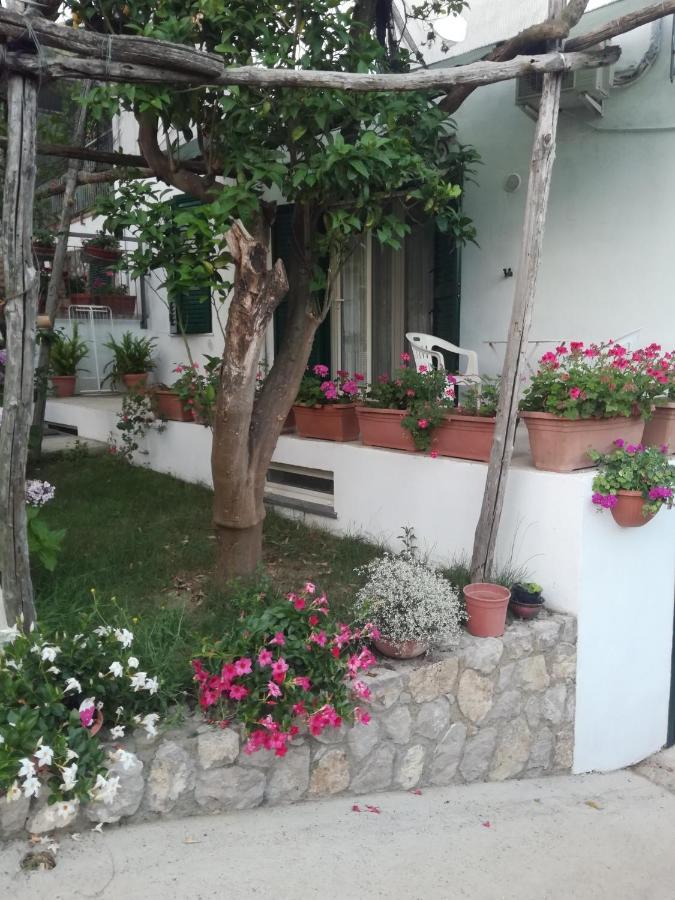 Sorrento Studios Lemons Hill Екстер'єр фото