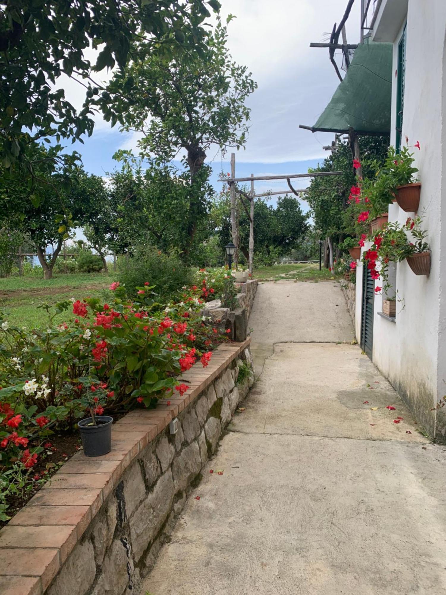 Sorrento Studios Lemons Hill Екстер'єр фото