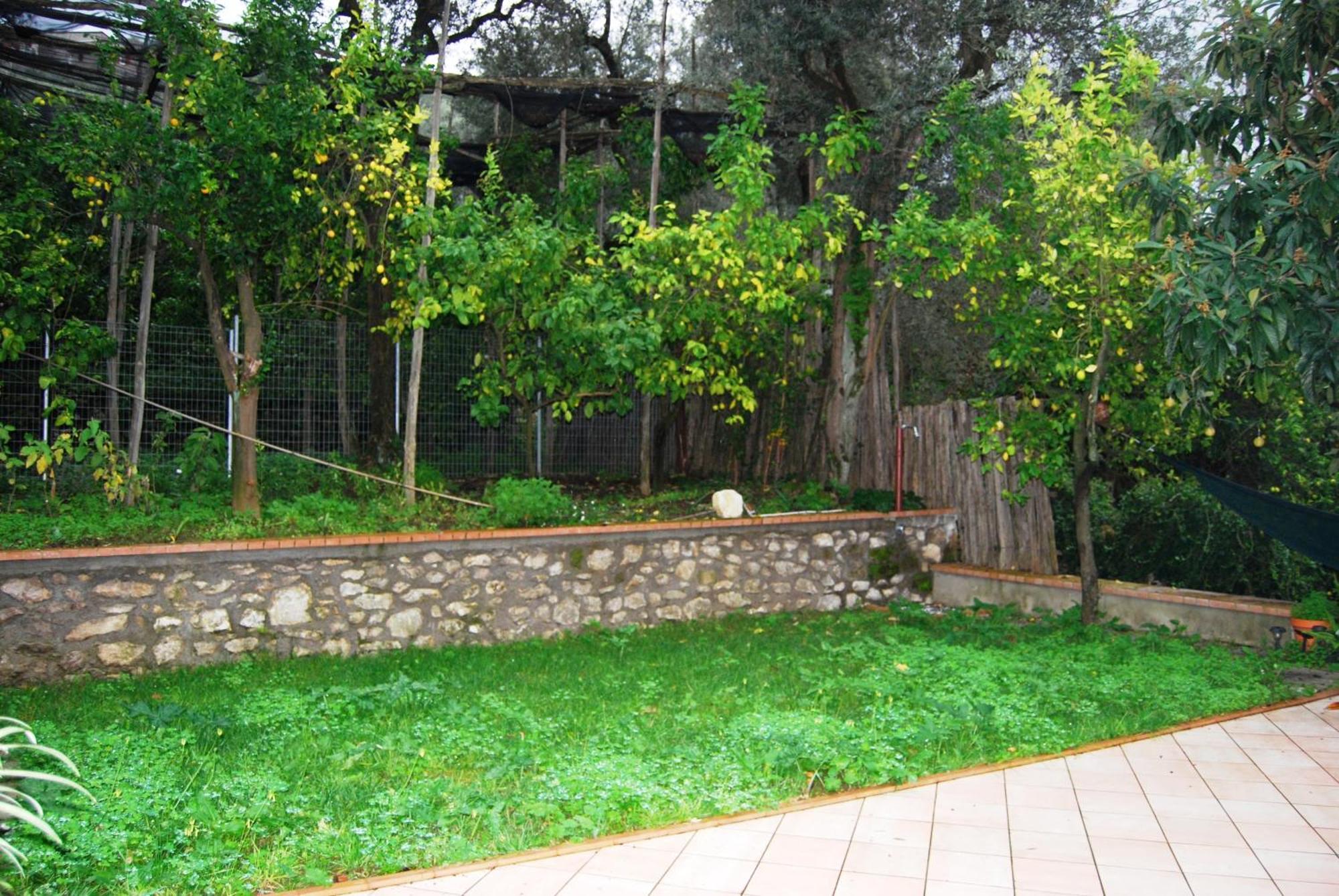 Sorrento Studios Lemons Hill Номер фото