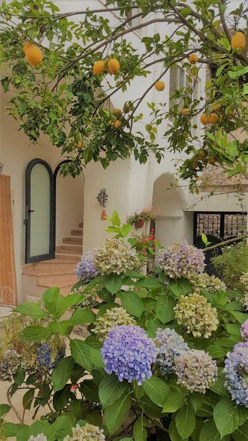 Sorrento Studios Lemons Hill Екстер'єр фото