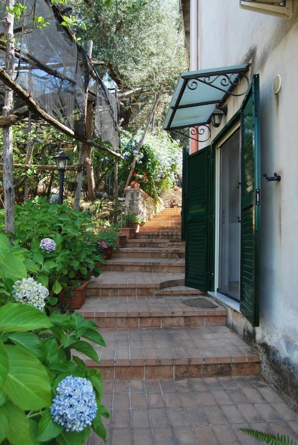Sorrento Studios Lemons Hill Екстер'єр фото