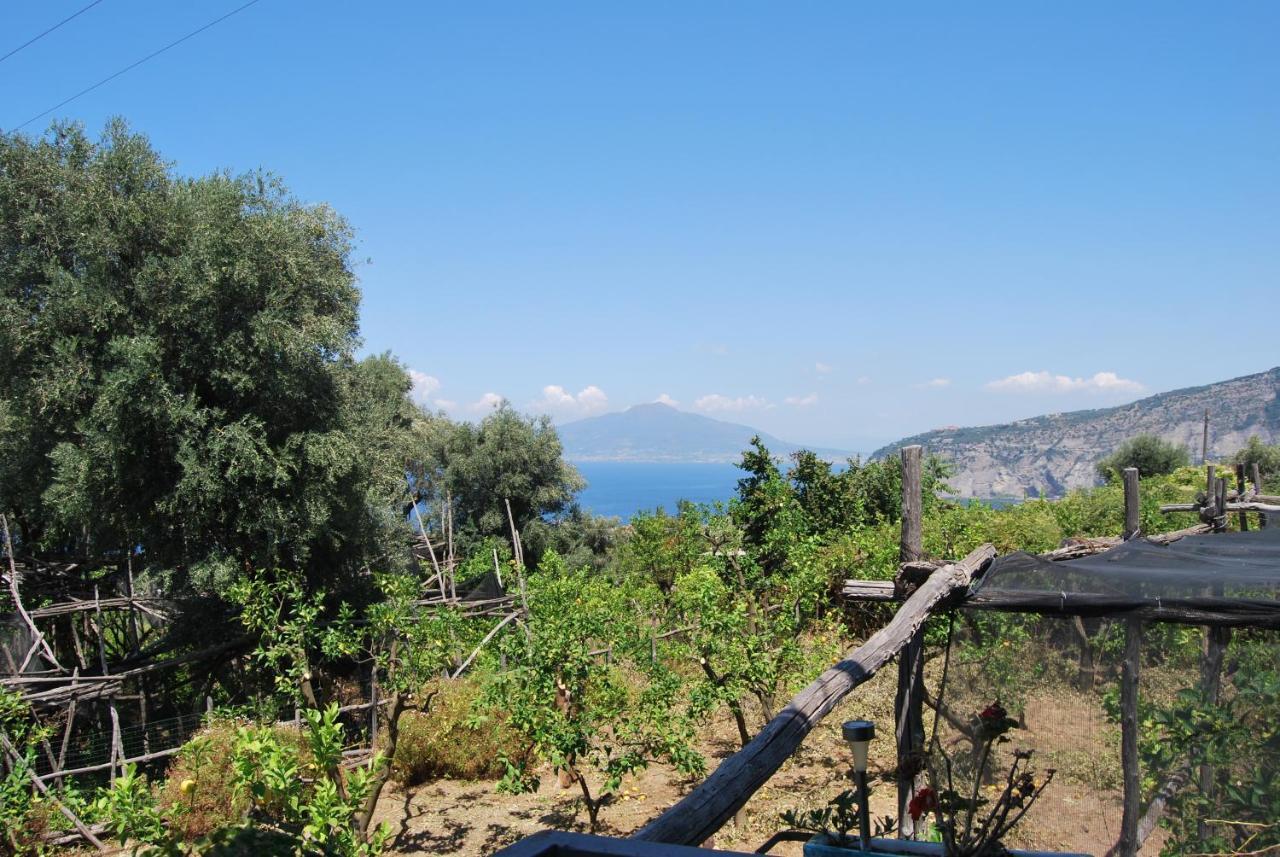 Sorrento Studios Lemons Hill Екстер'єр фото